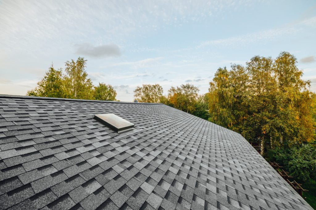 5 Interesting Facts About Your Roof That Will Surprise You