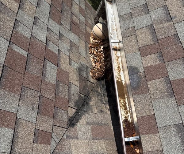 clogged shingle roofing side clogged shingle roofing side