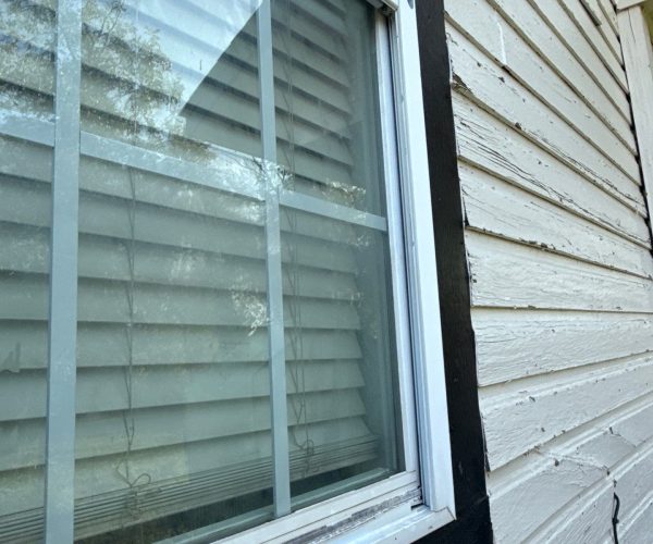 window replacement window replacement
